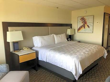 Standard King Room with Roll-In Shower - Communications Access