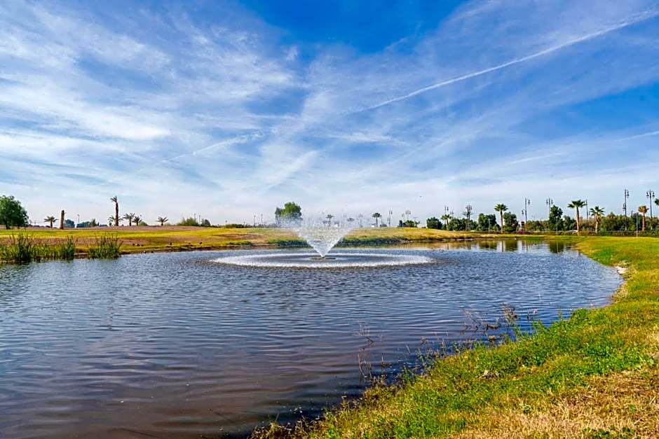 Relax Front Of Pool-Garden-Fibre