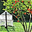 Grenadine Lodge
