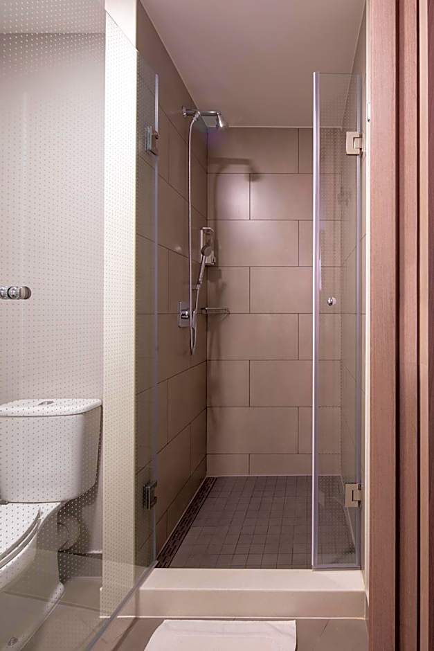 ibis Santa Cruz de la Sierra