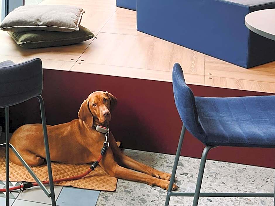 21 House of Stories Navigli