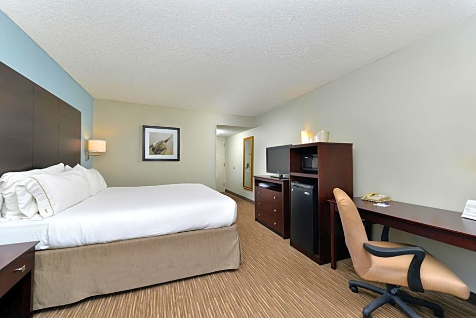 Holiday Inn Express Hotel & Suites Tampa-Rocky Point Island