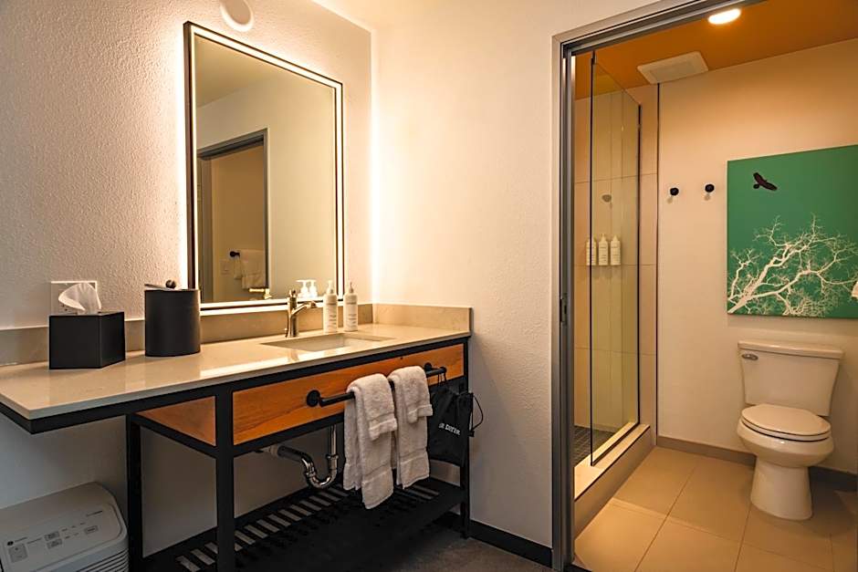 Boundary by Terra Vi Durango