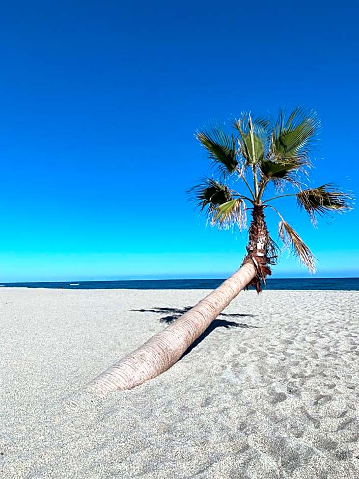 Résidence La Pinède