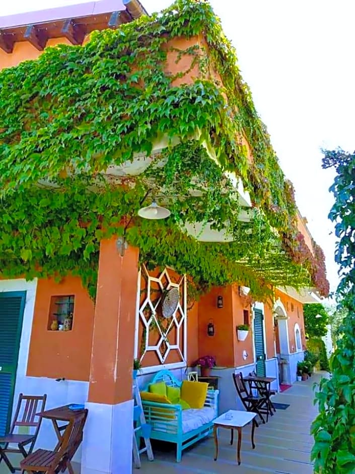 Casale Terra Sole B&B