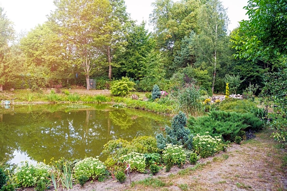 Bed & Breakfast - Warniłęg