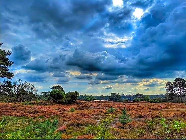 Luxe Natuurhuisje met jacuzzi en haard in Drenthe, ECHTEN