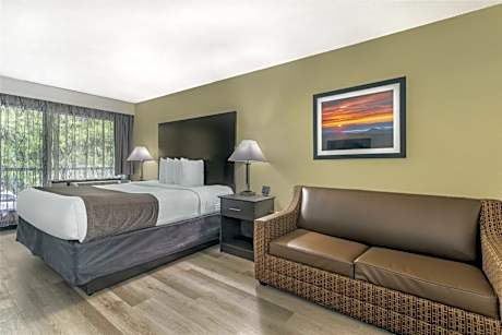 1 King Bed Non-Smoking Sofabed Sitting Area Microwave Fridge Wi-Fi Full Breakfast