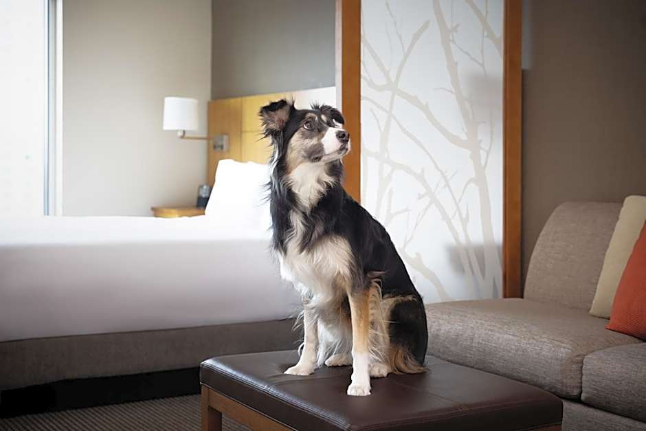 Hyatt Place Denver Downtown