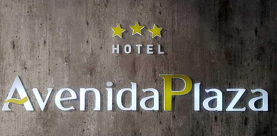 Hotel Avenida Plaza