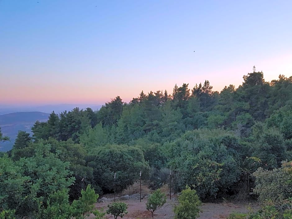 Bloom's Studio הסטודיו של בלום