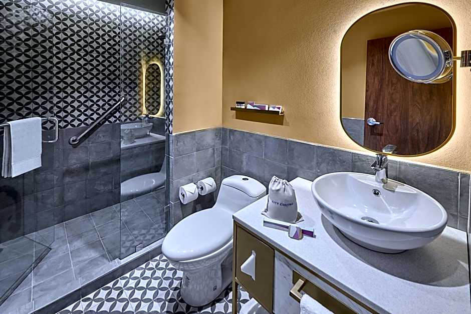 City Centro by Marriott San Luis Potosi