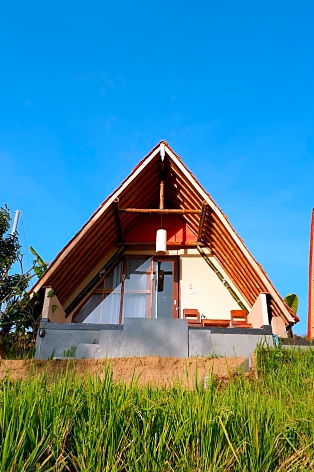 Padi Bali Jatiluwih