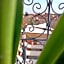 Riad Hugo