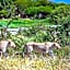 Tau Game Lodge