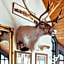 Hotel Laxnes