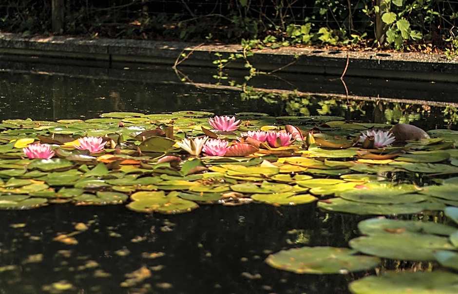 Les Jardins de Joséphine - Le Manoir