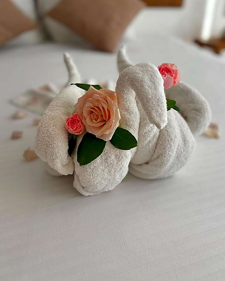 Hotel International House Riviera Maya