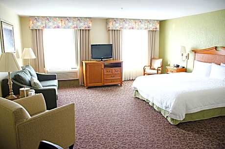 1 King Mobility Access Ri Shwr Studio Nosmok Sofabed/microwv/fridge/wet Bar/hdtv/ Work Area/free Wi-