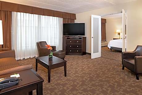 1 Bedroom Suite Sofa Bed Accessible Roll In Shower