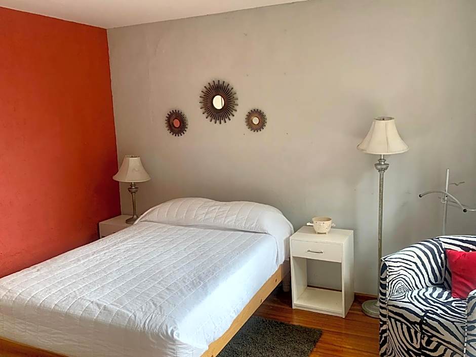 Satya Suites & Portal San Angel Flats