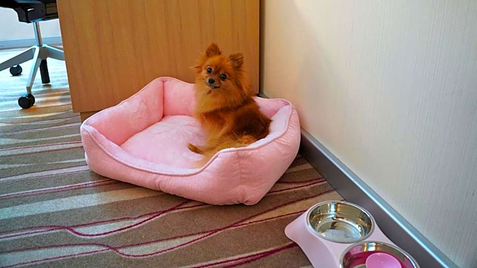 Hilton Frankfurt Airport