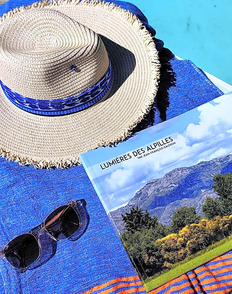 Hôtel Mas Vidau Porte des Alpilles