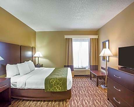 Standard King Room