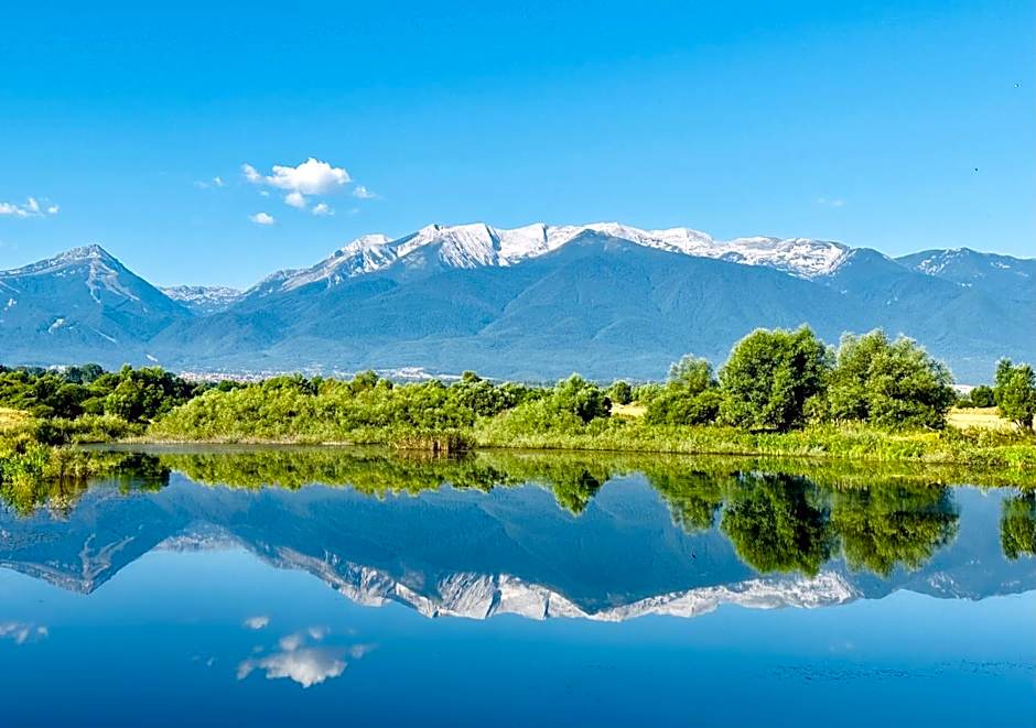 Family Hotel Carpe Diem