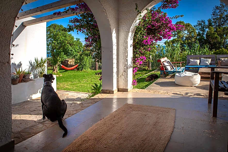 Wild House Tarifa