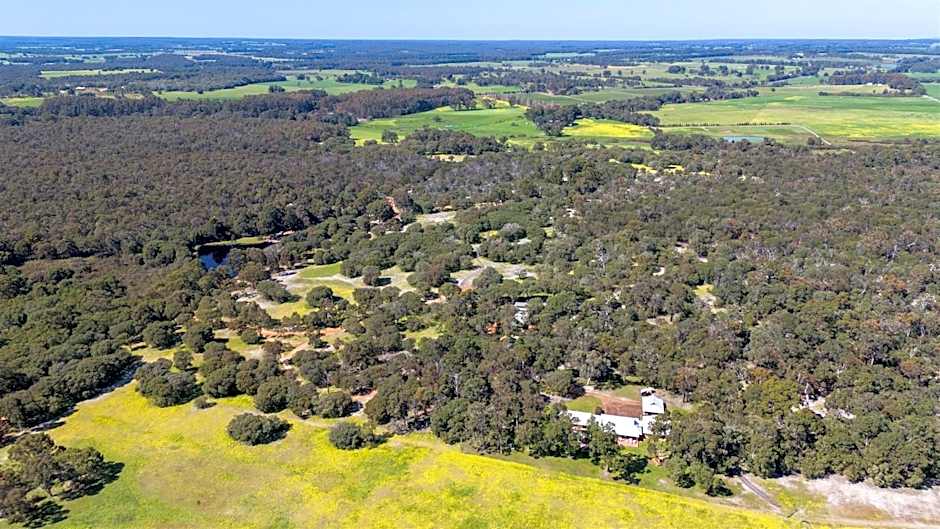 Forest Rise Chalets and Lodge