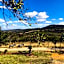 Khululeka Safaris Lodge