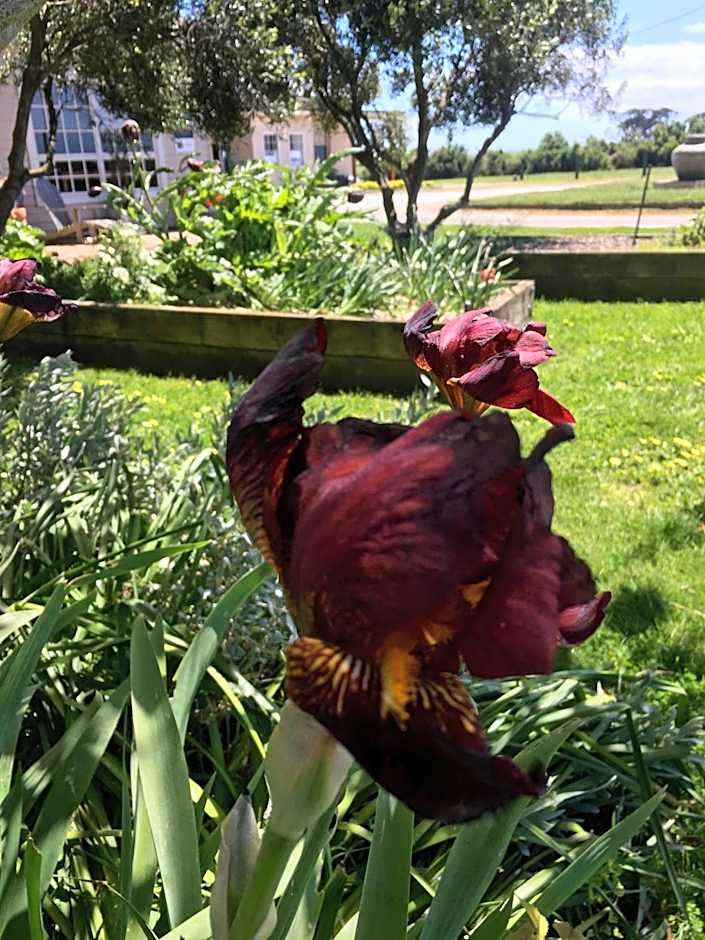 Cable Station Accommodation