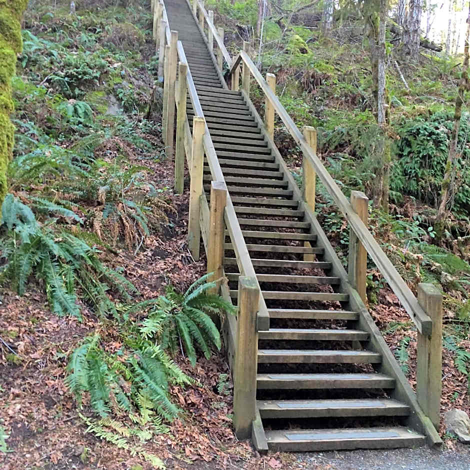 Cycle Inn Bed and Breakfast