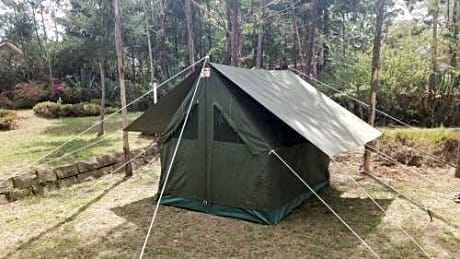 Tent