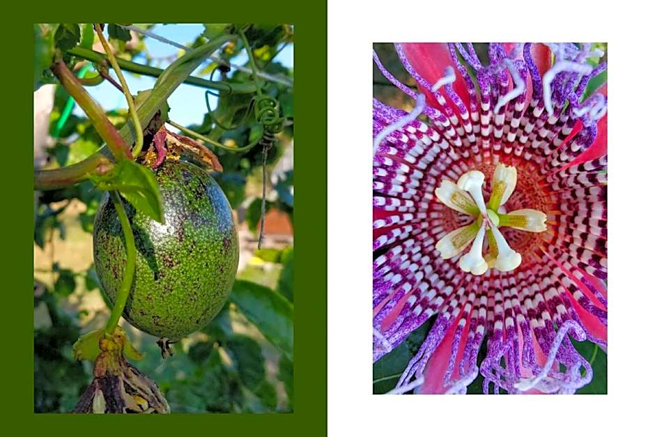 hiresicily - Casale della Pergola