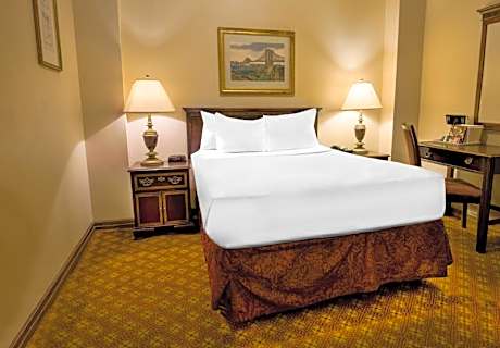 Bronze, 1 Full Bed
