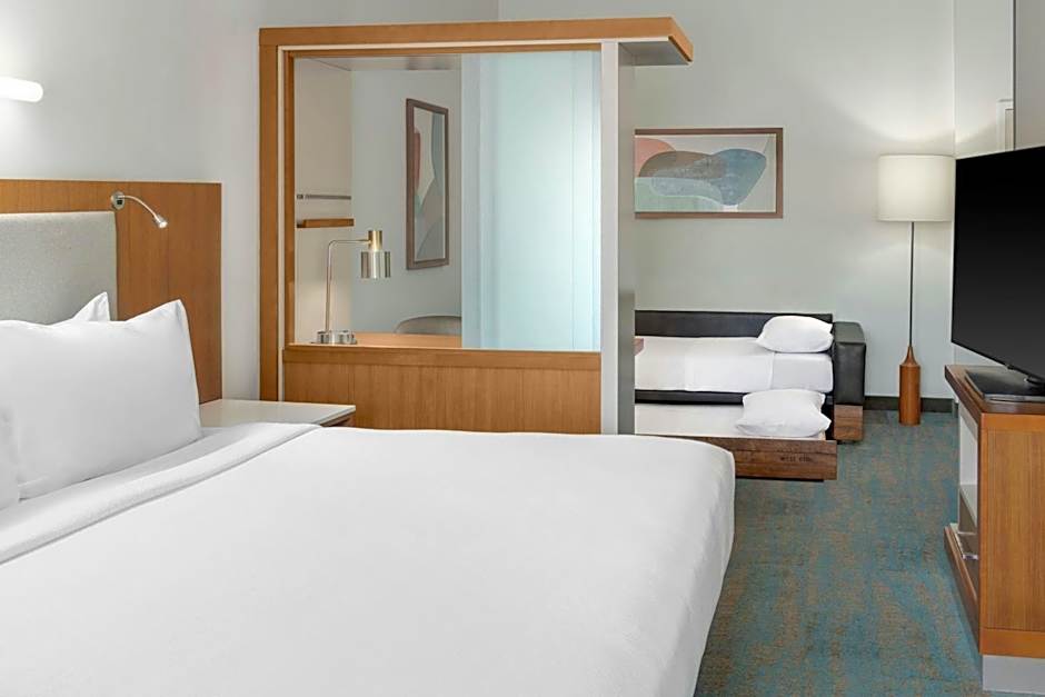 SpringHill Suites by Marriott Detroit Auburn Hills