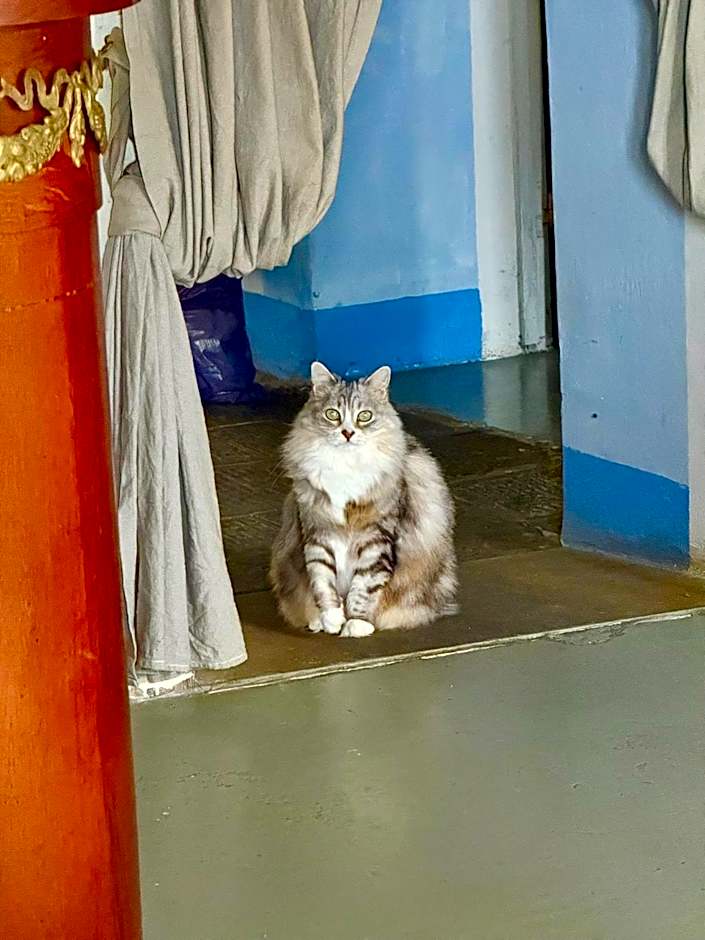 Viandanti, Artisti e Sognatori