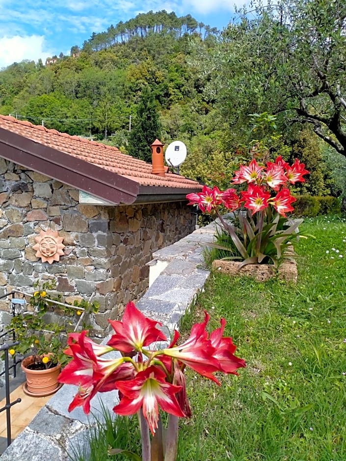 5 Terre - B&B La Giuditta - La Spezia