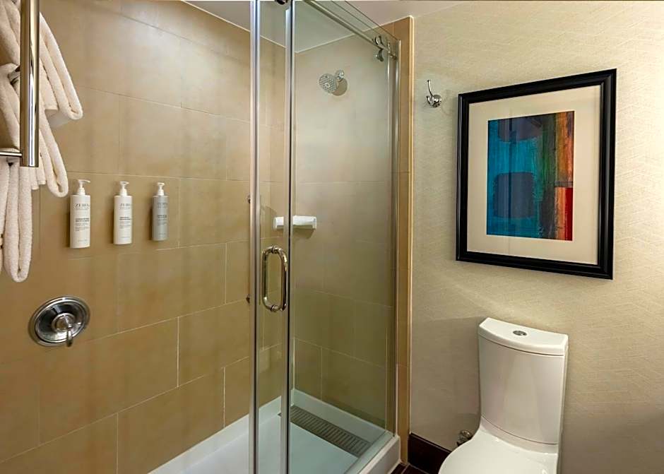 Hilton Garden Inn Washington DC/Georgetown Area