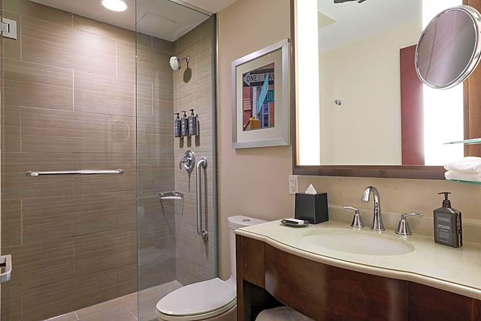 Sheraton Brooklyn New York Hotel