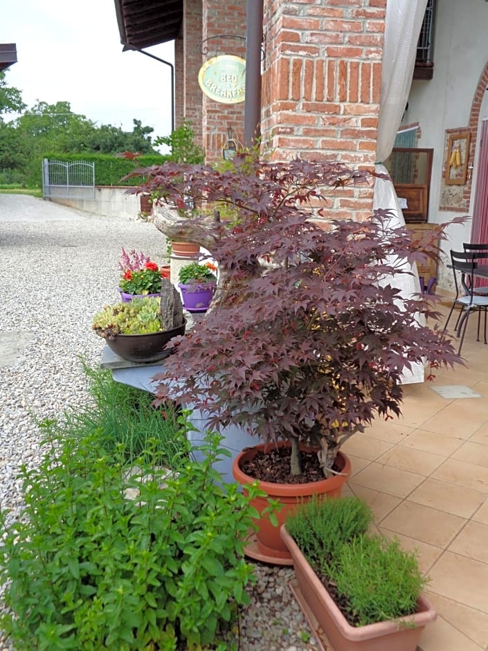 Bed and breakfast Al Rudun