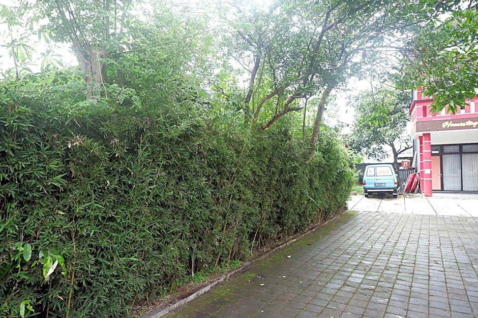 RedDoorz near Alun Alun Wonosobo 2