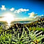 Rocklands Seaside Bed and Breakfast
