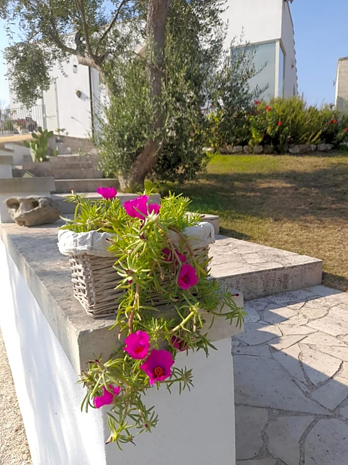 Tenuta Valle dell Idro Otranto