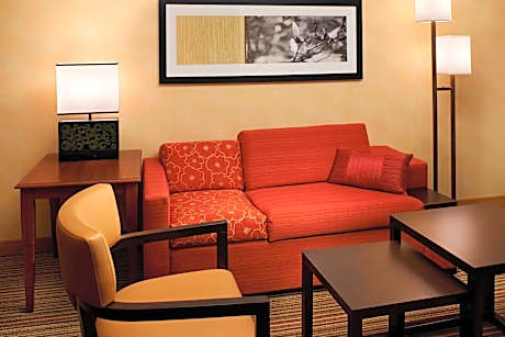 Room, 1 King Bed with Sofa bed (1 King Bed and 1 Double Sofa Bed)