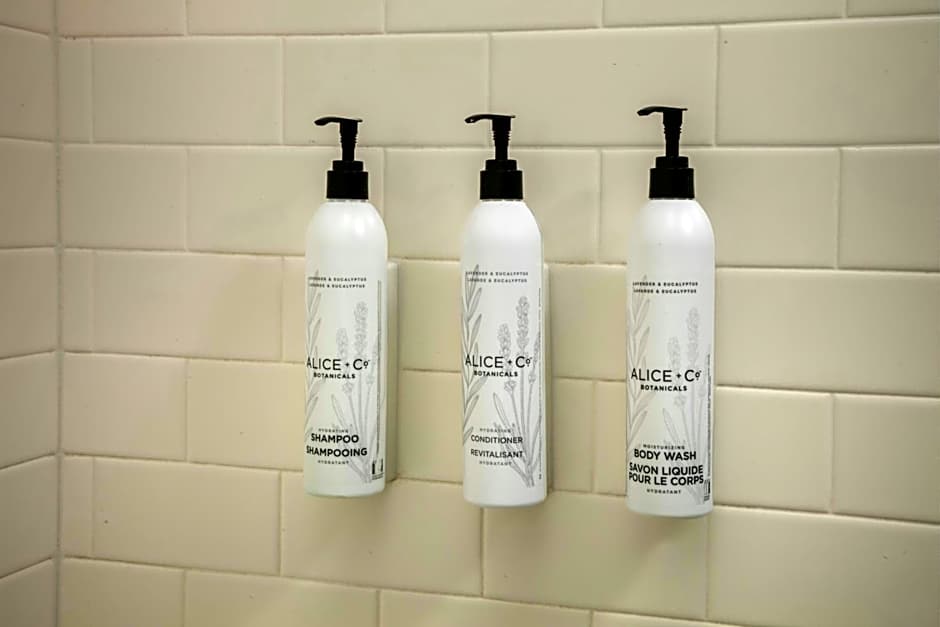 Fairfield Inn & Suites by Marriott Phoenix Chandler/Fashion Center