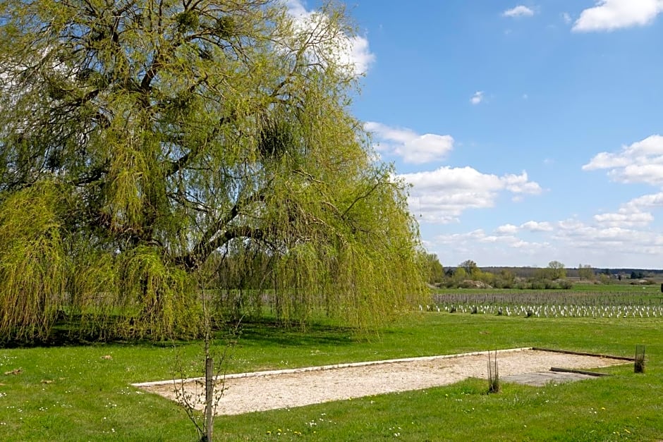 Les hirondelles du moulin