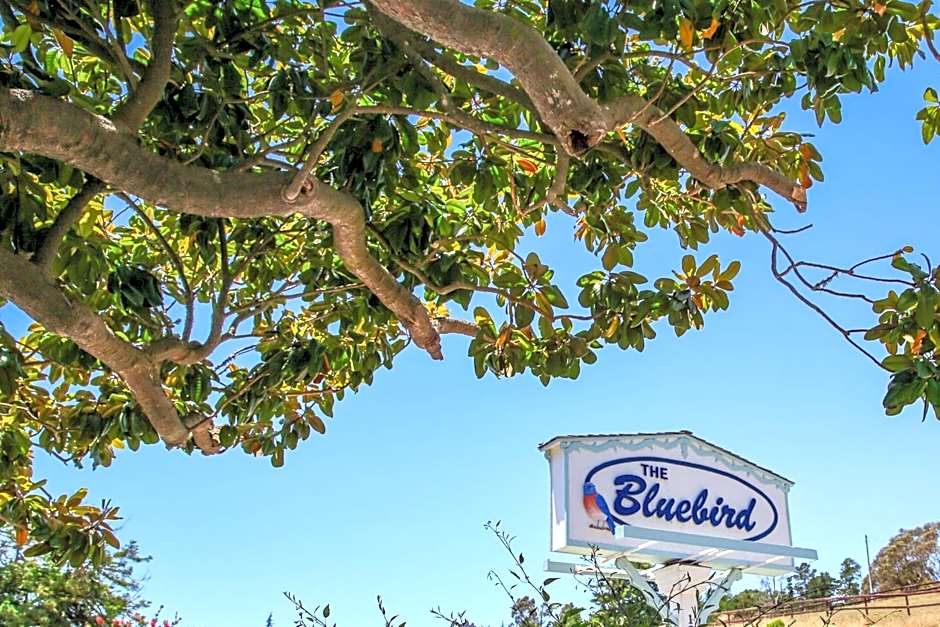 Photo 1 of 45 of Bluebird Inn